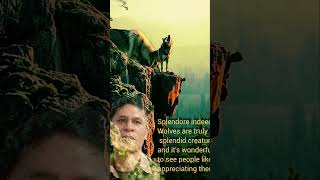 Soundwolves #epicsoundtrack #soundhealing #wolfsound #soundinspiration