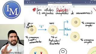 Ciclo Celular - Mitosis