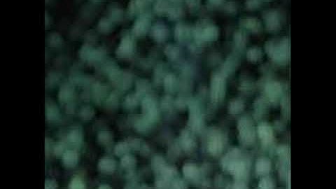 M Y D R E A M Y A D V E N T U R E - T h e V o i d I s T h e U n d 3 r g r 0 u n d