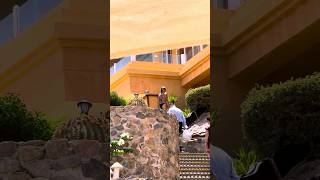 Bikini Walking Vs Regular Walking - Whats The Difference? 4K Hdr