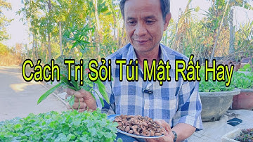 2 Bài Thuốc Điều Trị Sỏi Túi Mật Đơn Giản Hiệu Quả Cao
