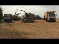 уборка пшеницы на корм скота 2018 ч 2
