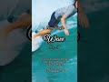 [Trailer] Wave - Yumeutsutsu [Official PV] #newsingle #新曲 #shorts #applemusic #Spotify #linemusic