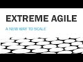 Extreme Agile Methodology for Enterprise: How To Scale Agile For Enterprise Organizations