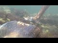 Анапа - Чёрное море 15.07.2021 - Рыбалка без удочки. Ловушка из бутылки. Креветки. Подводная съемка.
