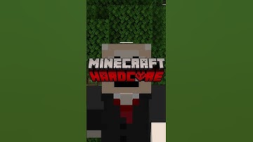 EVERYWAY YOUR HARDCORE WORLD COULD END