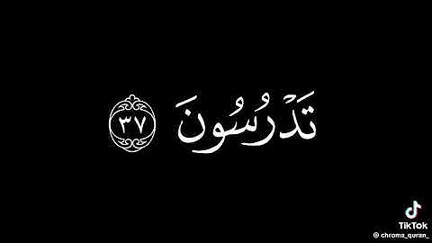 سوره القلم بصوت الشيخ محمد اللحيدان 