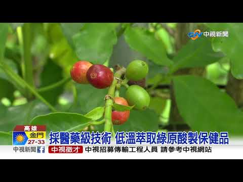 高雄田寮區滿山的咖啡豆,是智慧農業和生物科技結合的起點│中視新聞 20211007