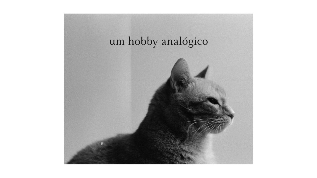 fotografia analógica - aprendendo a exercitar um hobby