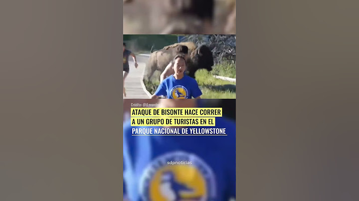 Ataque de bisonte hace correr a un grupo de turistas en el Parque Nacional de Yellowstone #shorts