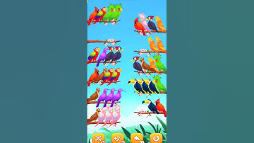 color bird sort puzzle games new update 2023 super game short video