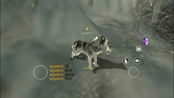 [Wolf Online 6.2.0] How To Make Colorful Name Without Colorcode ~Royalty Script~ By @MissMocha