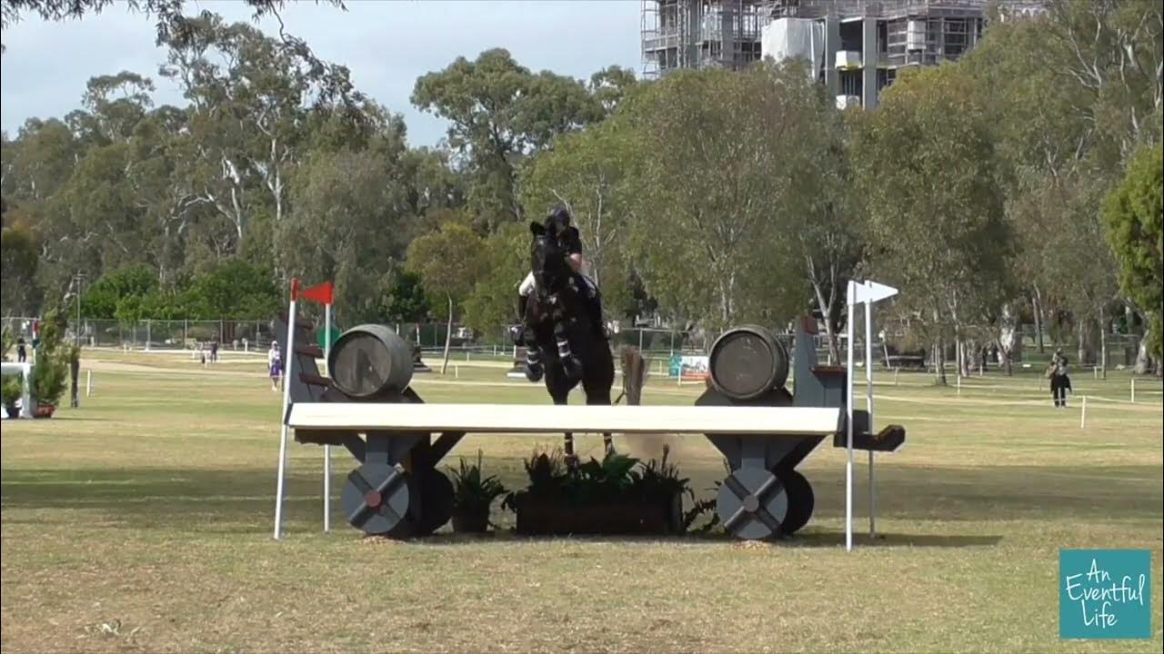 Adelaide Equestrian Festival 2023 YouTube