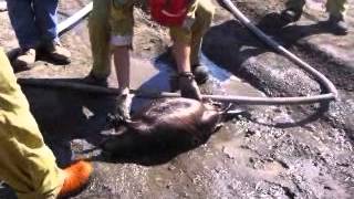 Alberta Rapattack 2005
