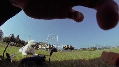 First Flight with GoPro Session on the town