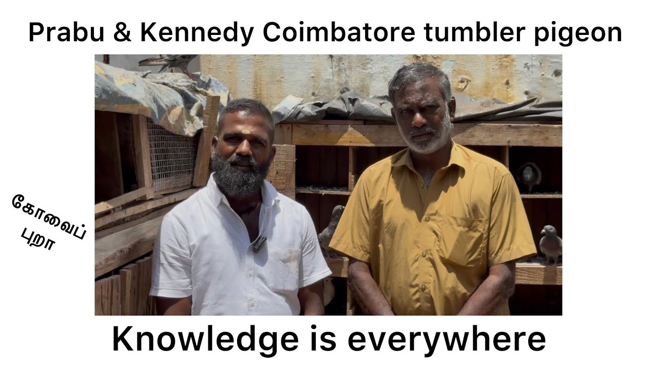 prabu &  kenaddy coimbatore , கோவைப் புறா