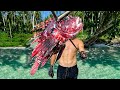 Dangerous LIONFISH Catch Clean and Cook for the first time