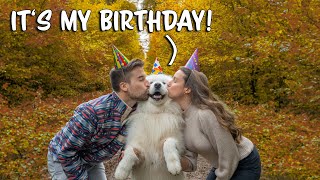 How my dog celebrates his birthday by Wanderlust Samoyed 2,206 views 5 months ago 5 minutes, 30 seconds