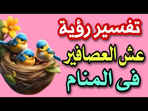 تفسير رؤية عش العصافير فى المنام رؤية عش عصفور فى المنام