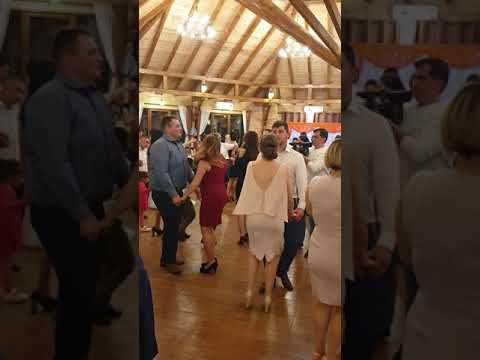 Formatia Nicu Ruja live la Gura Raului