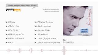 Emre Altuğ  - Su Gibisin  (Official Audio)