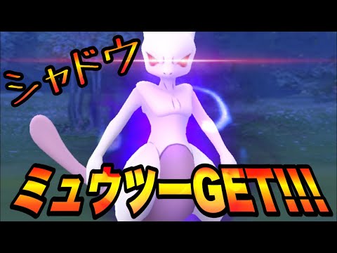 【ポケモンGO】シャドウミュウツーGETだぜ!!! ㅤㅤㅤㅤㅤㅤㅤㅤ ㅤㅤㅤㅤㅤㅤㅤㅤ ㅤㅤㅤㅤㅤㅤㅤㅤ ㅤㅤㅤㅤㅤㅤㅤㅤ  Pokémon GO Shiny #Shorts