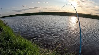 ЭТА РЕКА КИПИТ РЫБОЙ,ТОЛЬКО ЗАКИНУЛ ДОНКИ И РЫБАЛКА ПОШЛА, ОНИ КЛЕВАЛИ ЗАГИБАЯ ПАЛКИ! САЗАН НА СОСКИ