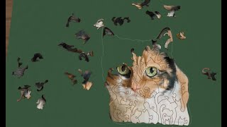 Cat Complete Solve [Jigsaw Island] screenshot 3