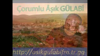 Aşık gülabi kalem seni kırarım Resimi