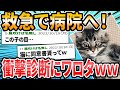 【ヌッコ編】ドクターに言われた衝撃的な言葉【2ch面白いスレ】