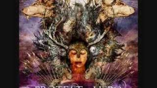 Protest the Hero- Bone Marrow