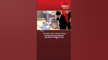 Chủ tịch nước Lương Cường trao Huy hiệu 65 năm tuổi Đảng tặng đồng chí Trần Đức Lương