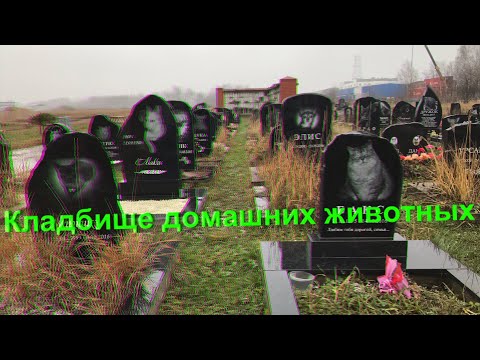 Кладбище домашних животных