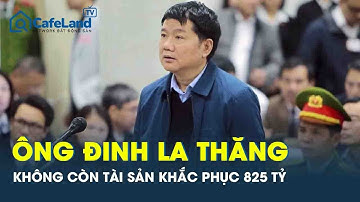 Ông Đinh La Thăng không còn tài sản nào khác để thi hành 825 tỉ đồng | CafeLand