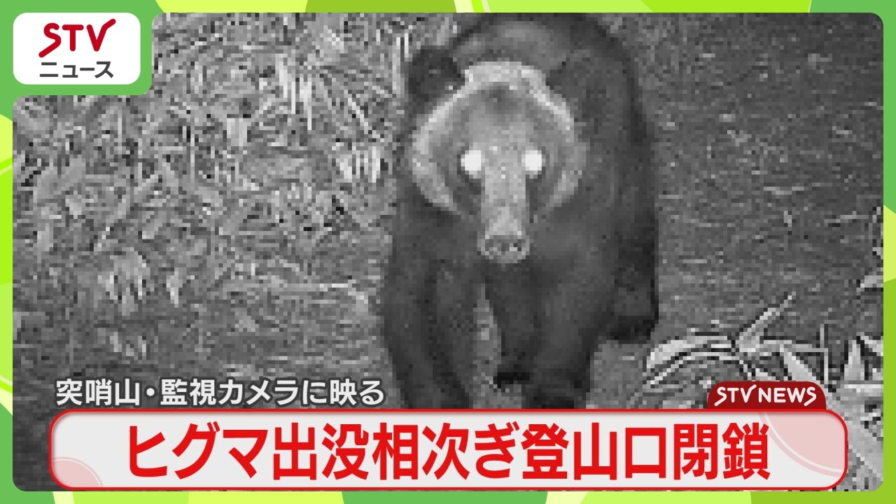 熊の散歩 Bear Spotted Walking on Trail: Tosho-zan Trailheads Closed