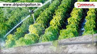 Drip Irrigation Valve | Drip Irrigation Systems Manufacturer | Gokul Poly Valves