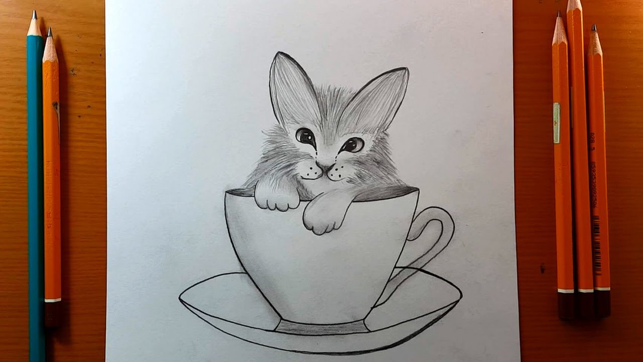 disegni facile | Come disegnare un gattino carino in una tazza - passo dopo  passo | schizzo a matita - YouTube