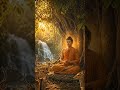 BUDH PURNIMA // #budha #budhpurnima #ytshorts #shorts #bhakti