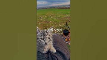 #اسلام_صبحي #تلاوة_خاشعة