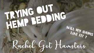 HEMP BEDDING FOR HAMSTERS // Giving hemp bedding a try in my hamster enclosures!