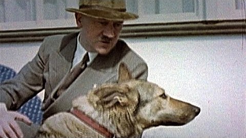 These Are Home Movies from Hitler