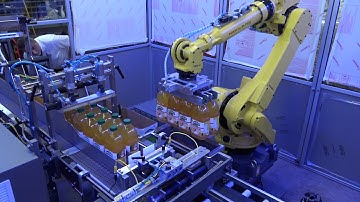 Hamrick Manufacturing - CP15-R Robotic Case Packing Cell (HD)