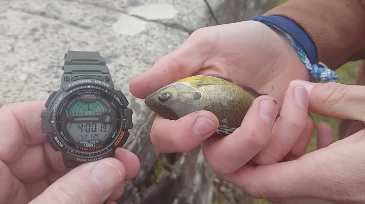 Casio fishing watch is right neighbor catches 3 fish