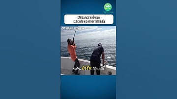 Săn Cá Ngừ Khổng Lồ Cuộc Đấu Kịch Tính Trên Biển #shorts #khampha #danhbatca