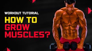 Muscle growth full back workout