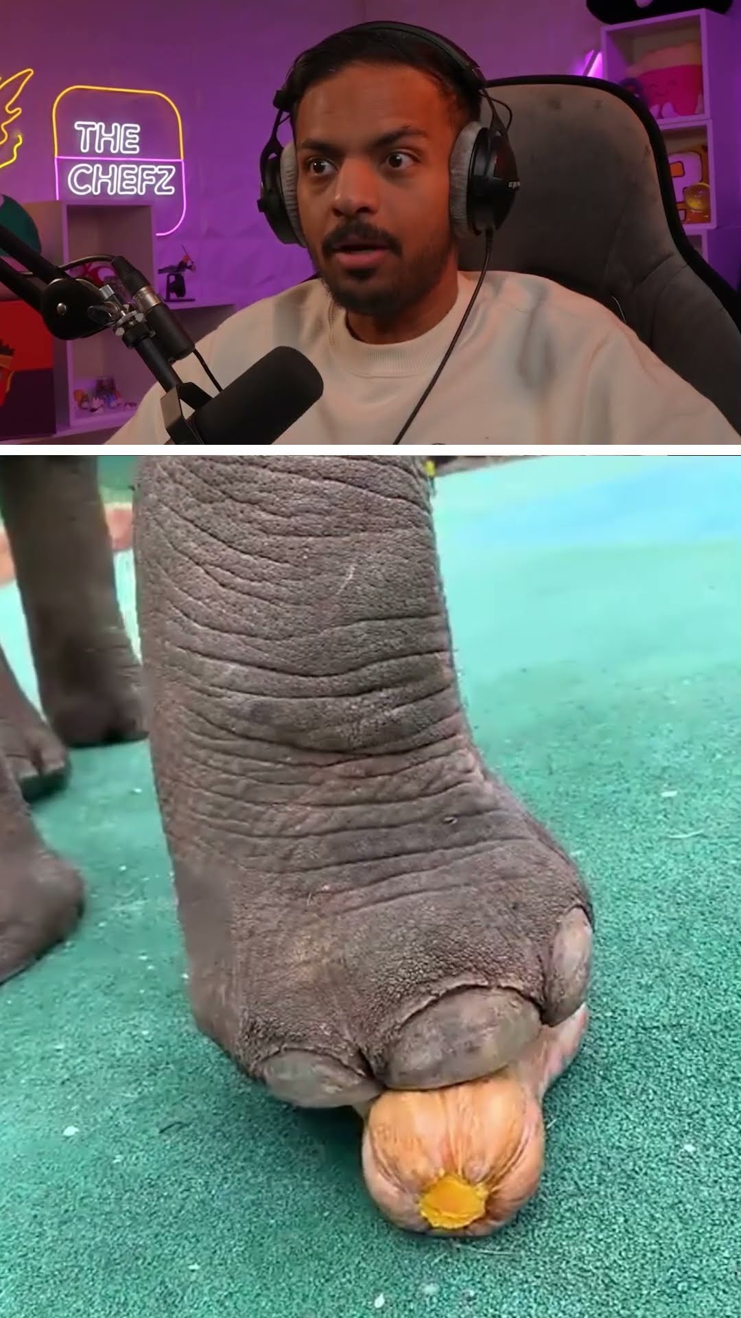قوة اقدام الفيل !