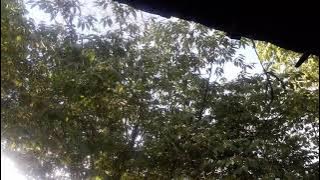 keindahan Alam Papua