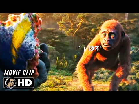 Kong Feeds Suko Scene | GODZILLA X KONG: THE NEW EMPIRE (2024) Movie CLIP HD