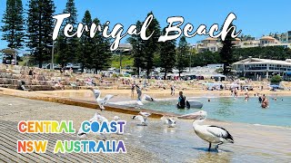 EP. 72 Terrigal Beach | Central Coast NSW  Australia