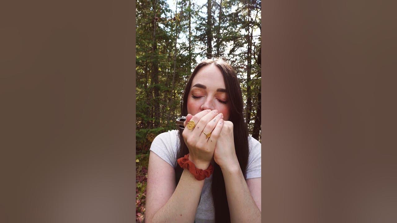 The world's lowest harmonica! The SEYDEL Classic 1847 in Low Low E 